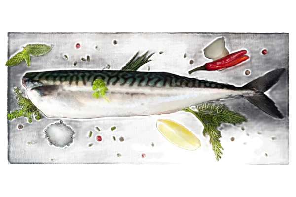 benefits of herring